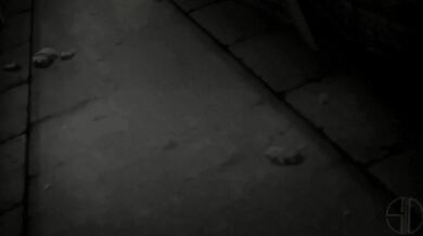 "Erza, helplessly held captive by the evil sorcerer {v1}, pleads for her life as she is stripped down to her lingerie. {4K @ 60} [Collages]"