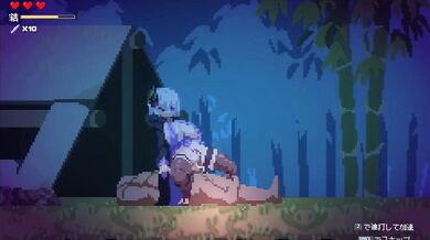 The Hidden Ninja: The Secret Lover