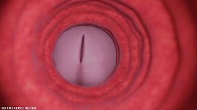 "Krystal at the Nightclub: A Sexual Adventure"