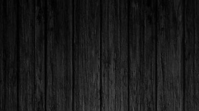 "One Ass and Two Blisses: A Hentai Love Story"