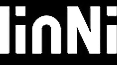 'The Ninja and the Mighty Wand: A Tale of Erotic Enchantment'