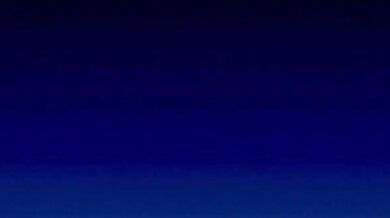 'Blooming Passion: A Sizzling Affair'