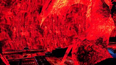 'Blooming Passion: A Sizzling Affair'