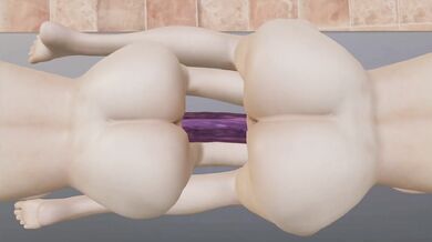 'Two beautiful ladies, Nina and Anna, having fun with a double-ended dildo.'