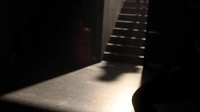 "The Mischievous Maid and Her Lustful Master"