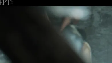 Anal & Group Sex Resident Evil Porn Animation