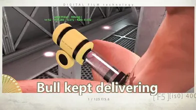"Exploring New Frontiers in Virtual Reality: Anal Milking in Second Life"