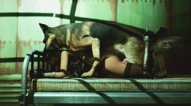 One Night in the Wasteland: Dogmeat and Maxp8147s Bedroom Adventure