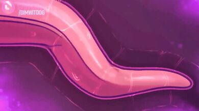 Mistresses Ruling the World: A Fetishistic Compilation of Female Dominance and Submission