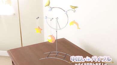 Breeding Bible: The Maiden on Sale! (Hamburg Gakari)