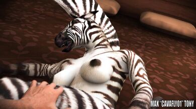 Last exit to Zahiras Paradise