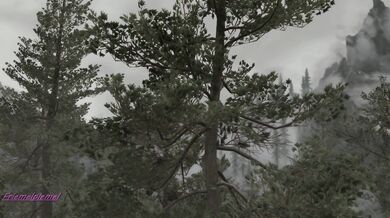 Feral Desires: The Erotic Escapades of Flora (Original Trailer)