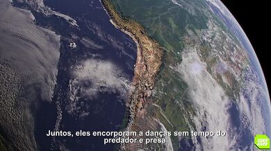 Legendado - The Primordial Progeny - A Tribo Fodida pelo Macaco [Hentai Porn]