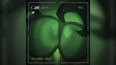 My Little Kittens First Anal Experience