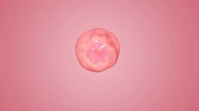 [Uncut] Power Girl Horse Power [Ultra HD]