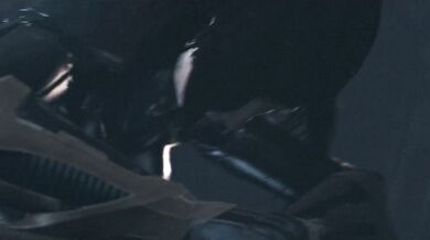 Rebirth of the Batfutan: Catwoman, Barbara Gordon and Big Johnson in Futa On Futa [Big Johnson]