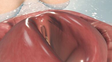 Woman devours a mans cock in Simsalabim