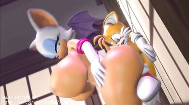 The Naughty Adventures of Rouge the Bat and Smashing Tails, featuring jinouga97 as the director!