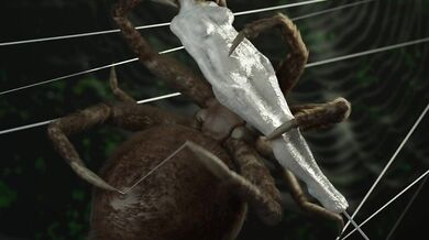 Caught in the Web of the Enormous Spider