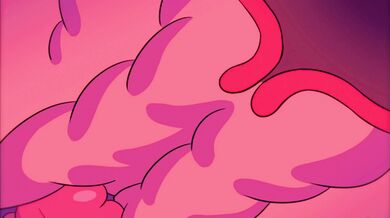 The No-Pants Adventure!