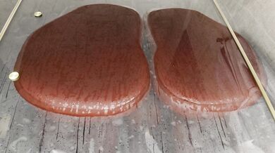 Write a haiku about the autumn season