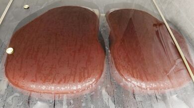 Write a haiku about the autumn season