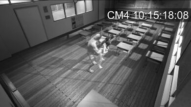 Tsuyus All Might: The Ultimate Battle between a Frog and a Superhero!