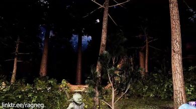 Watch the hottest crash landing action with sexy goblins in this trailer!