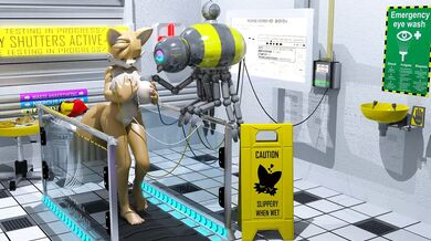 Annonguys Examination of the Female Tail