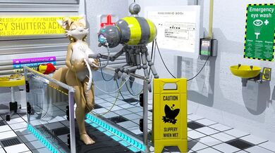 Annonguys Examination of the Female Tail