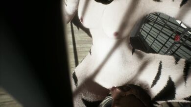 Wild Life: Prison Time