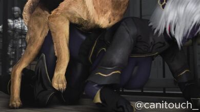 One human girl named Nualia is transported to another world where she finds herself in a whole new world full of strange creatures and customs