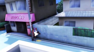 The Light of the Public Street - A Peeping Toms Dream Come True