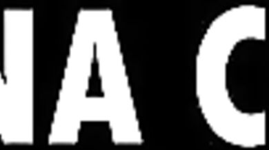 When Morgana Met Futaba: A Tale of Two Girls Who Love Each Other Deeply