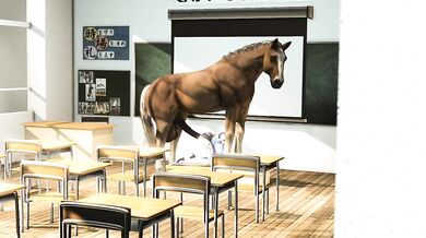 The Equestrian Adventures of Marie Rose