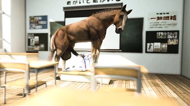 The Equestrian Adventures of Marie Rose