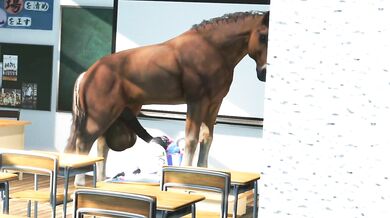 The Equestrian Adventures of Marie Rose