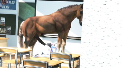 The Equestrian Adventures of Marie Rose