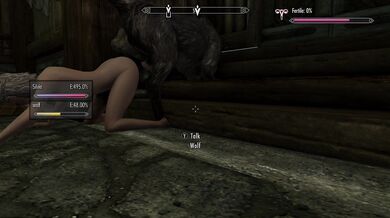 Skyrim - The Competition pt2