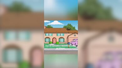 The Interphaze Project, Part 3: Lisa Simpsons Anal Expedition