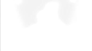 Five Nights At Peach Fuzz - The Winner!