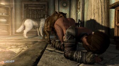 Watch this epic Skyrim porn video where you will see a warm welcome home for the Dragonborn!