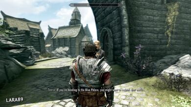 The Enchanting Elf in Skyrim: Tied up and teased by a dominating human!