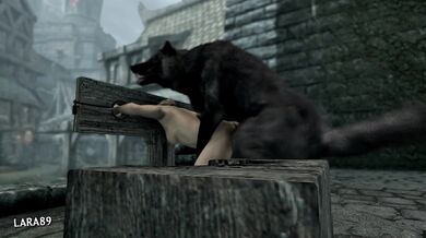 The Enchanting Elf in Skyrim: Tied up and teased by a dominating human!