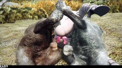 The Secrets of Queen Marika in The Elder Scrolls V: Skyrim