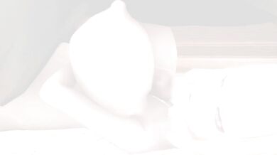 A girl named Elin (Tera) is in love with her stepbrother, Eshu-chan