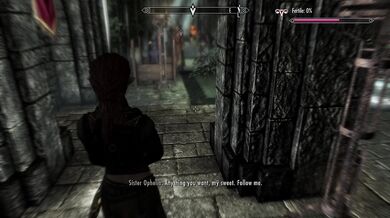 Sexy Skyrim Dragon Lord Widowed by War, but Reawakened in the Bedroom!