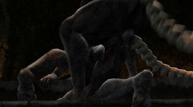 The Naughty Shepherdess: Capra and Castus Desire