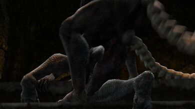 The Naughty Shepherdess: Capra and Castus Desire