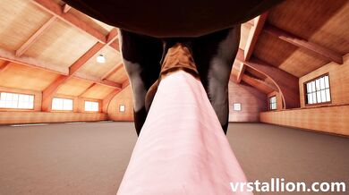 One-Eyed Stallion Customizes His VR Experience in Stallion 21 Desktop Gameplay